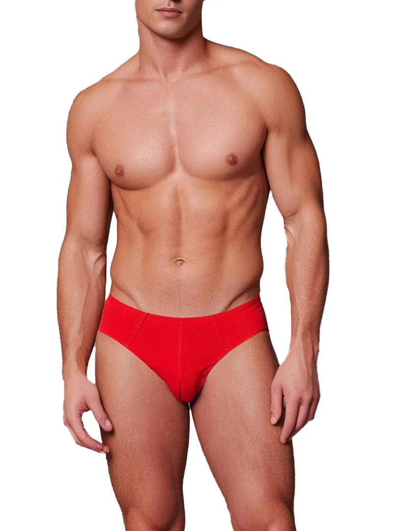Basics Cotton Brief