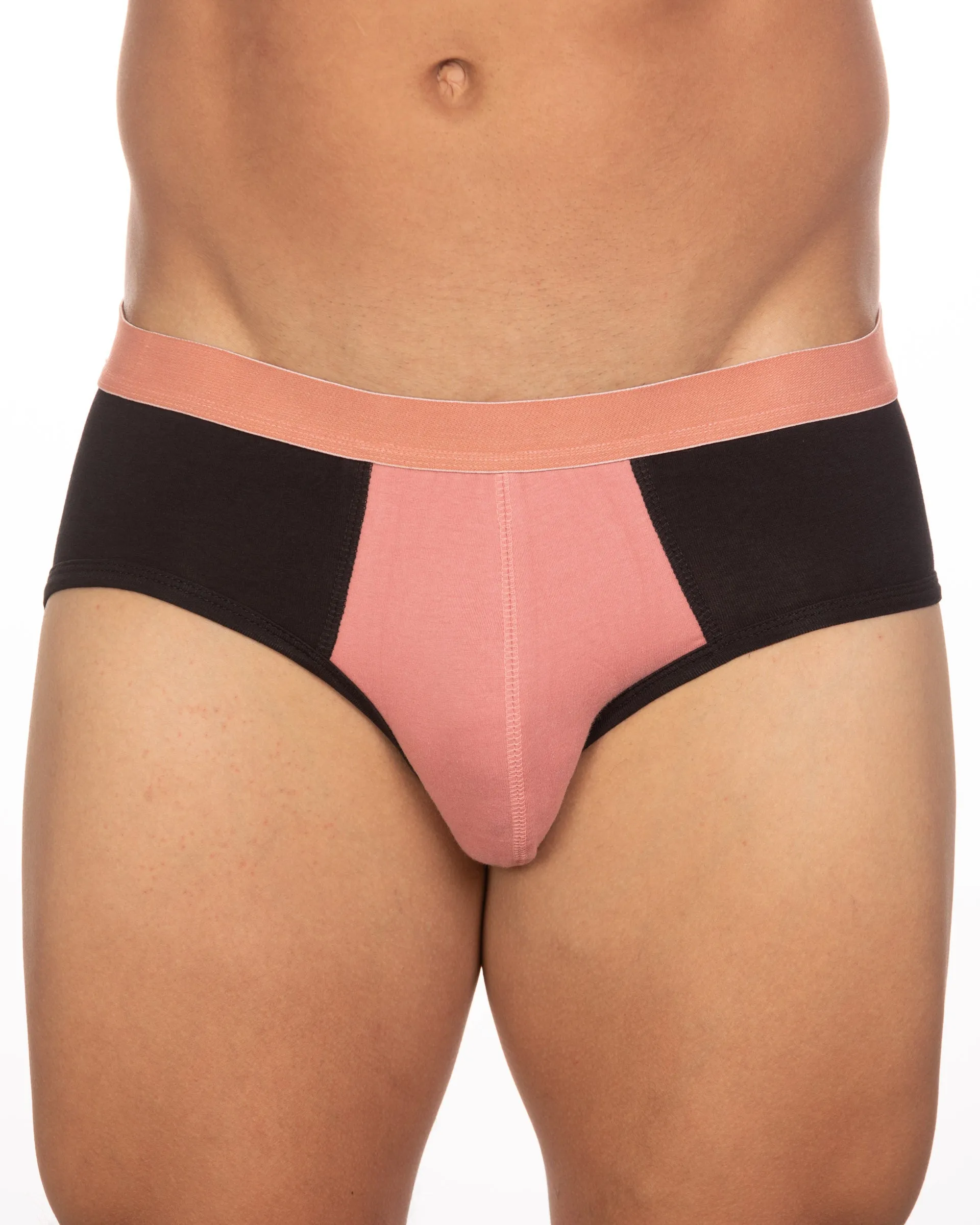 Undergear Basix Stan Two-Tone Brief